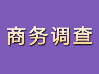 惠水商务调查